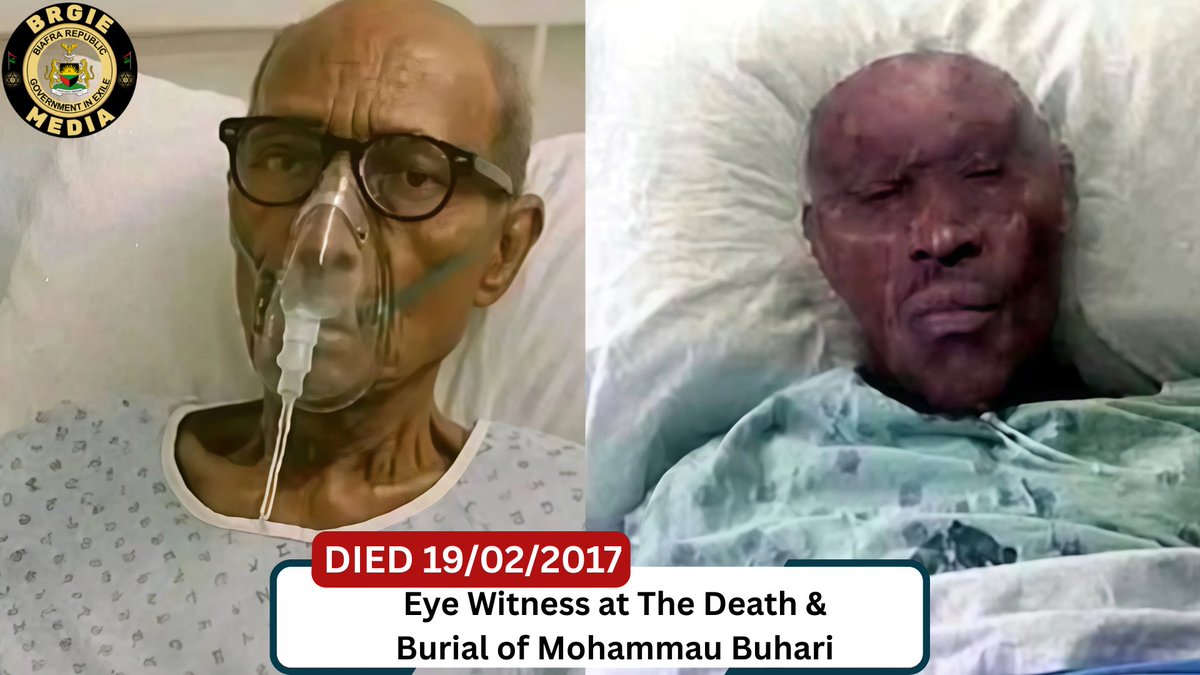 Eye Witness at The Death &amp; Burial of Mohammau Buhari Vanguard Newspapers Punch Newspapers Alexander Stubb