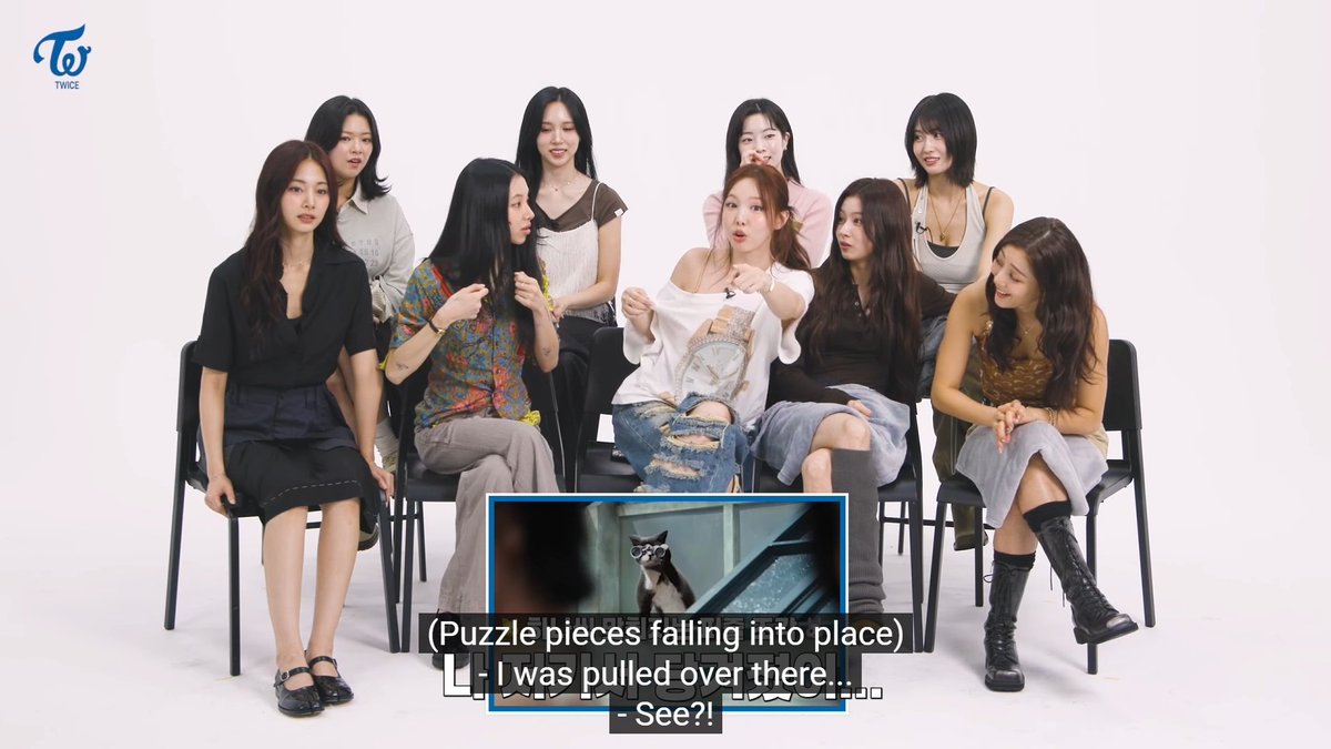 TWICE's cat lore theory for their own music video, they don't tell them anything 😭