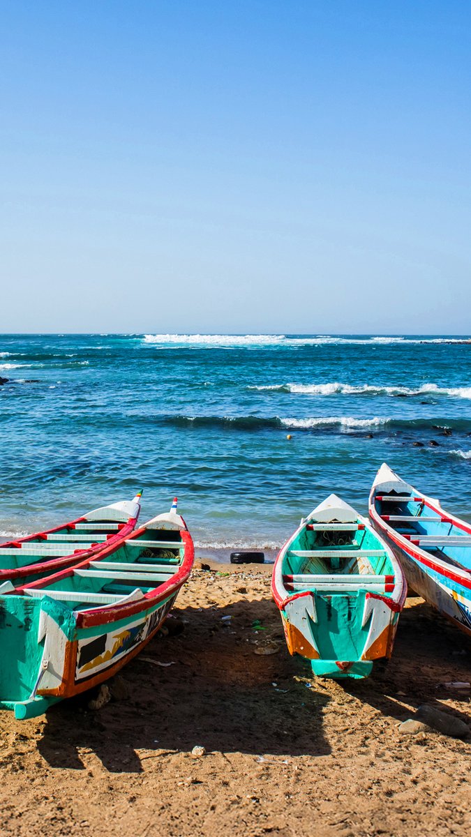 Golden beaches, swaying palm trees, and tranquil shores. Senegal is a paradise waiting to be discovered by surf lovers. Fly with us and discover Senegal. #TurkishAirlines