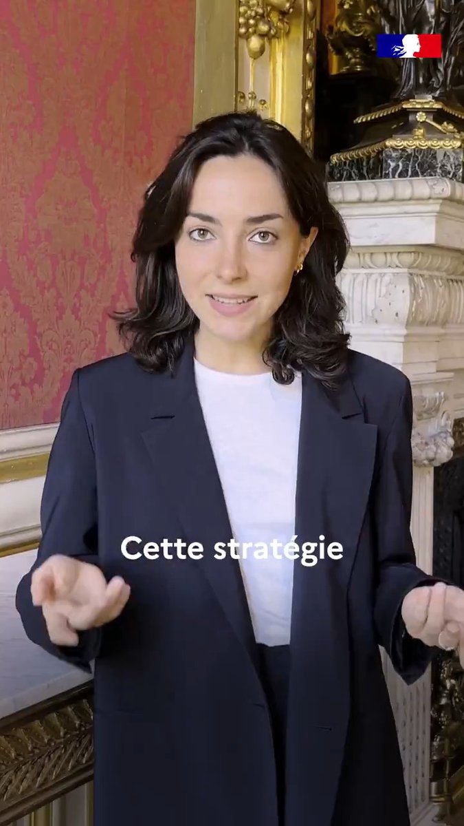 Tout savoir sur la Revue nationale stratégique en 90 secondes ⏱️