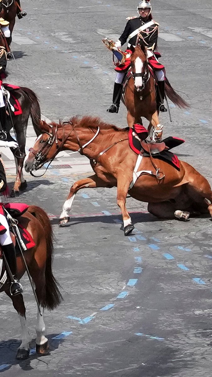 France's Bastille Day parade didn't go fully according to plan, with one horse breaking away from the cavalry formation while another fell to the ground.