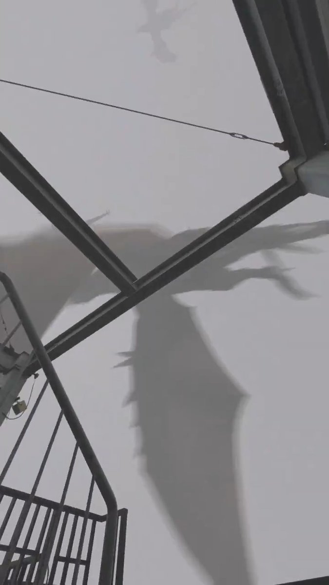 フォルティチュード：6.3 東京上空を飛行する翼竜系怪獣の群れを確認。 アニメ『怪獣８号』間もなく。 怪獣来ル──