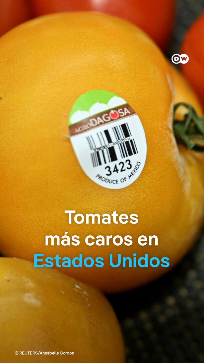EE.UU. impone arancel del 17% a la mayoría de tomates frescos de México Este lunes entró en vigor la medida. Dos de cada tres tomates consumidos en EE.UU. proceden de México, según las autoridades. Productores mexicanos alertan de un alza de precios para el consumidor. /pl