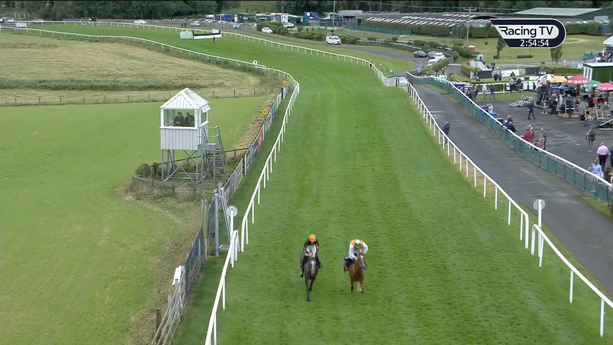 ✅ Off the mark Persian Daughter opens her account at the third time of asking under Rules at Downpatrick Racecourse