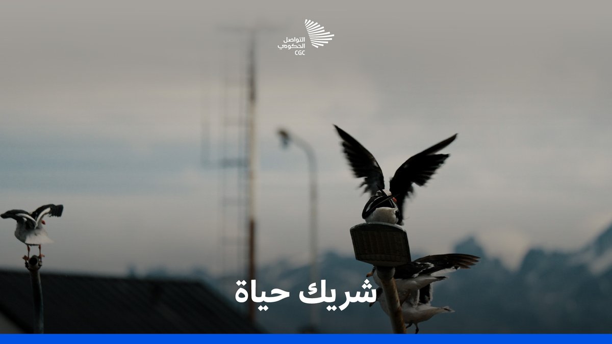 أهدته سيدة صورته صغيرًا، فرأى فيها اختزالًا لمستقبل العلاقة بين المملكة واليابان؛ سفير المملكة لدى اليابان وقصة ذكرى ملهمة. السفارة السعودية في اليابان