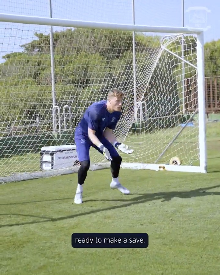 David Attenborough or Dai Cornell? You decide. #pnefc