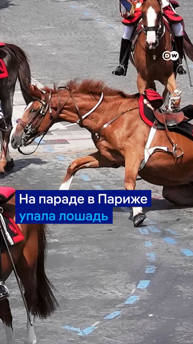 Одна лошадь упала, другая потерялась. Военный парад в честь Дня взятия Бастилии в Париже пошел не совсем по сценарию