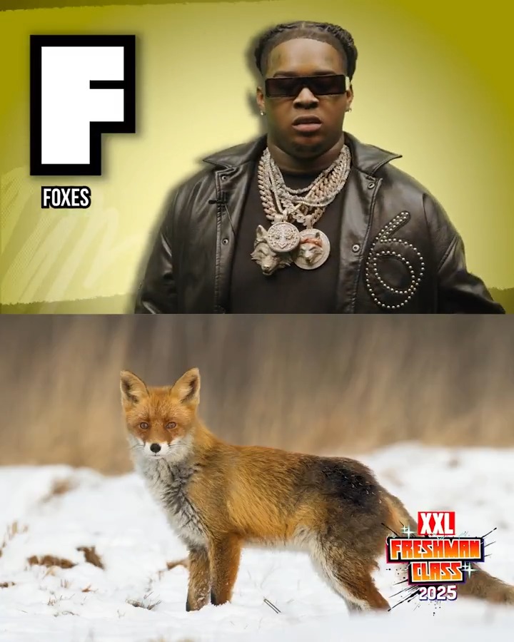 🔤 YTB FATT'S ABCs 🔤 WATCH: YTB Fatt shares the story of why he's fascinated with foxes, reps the Westside and more in his version of the ABCs. See full video: ➡️