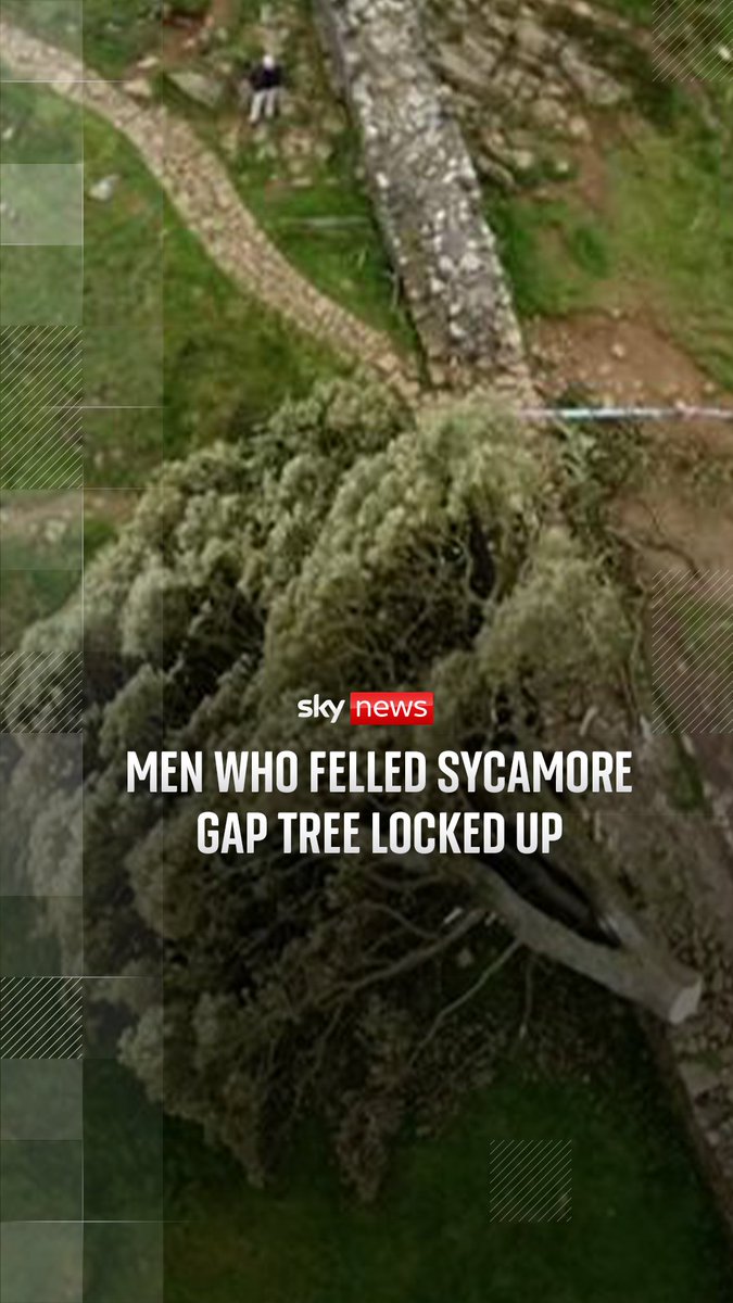 Men who chopped down Sycamore Gap tree jailed for over four years. Adam Carruthers, 32, and Daniel Graham, 39, were found guilty of criminal damage charges - prosecutors called it a 'moronic mission'. Sky's Shingi Mararike reports.