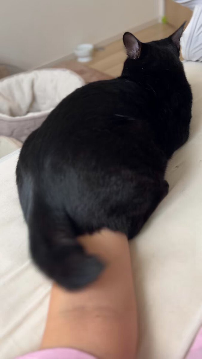 手の拘束方法があまりにも強引