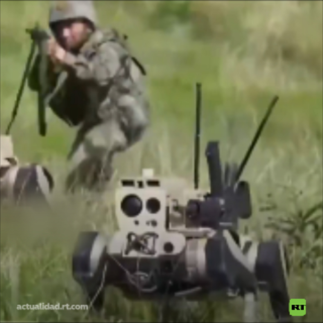 🇨🇳 🤖 El Ejército chino realiza ejercicios de fuego real con drones de pilotaje con visión remota y perros robóticos armados con rifles.