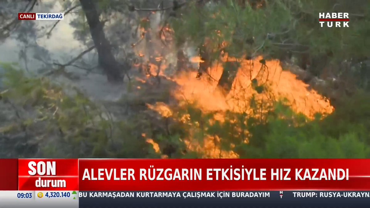 Şarköy'de başlayan yangın, Çanakkale Gelibolu'ya sıçradı. Yangın 20 saattir sürüyor, bölgede son durum ne?