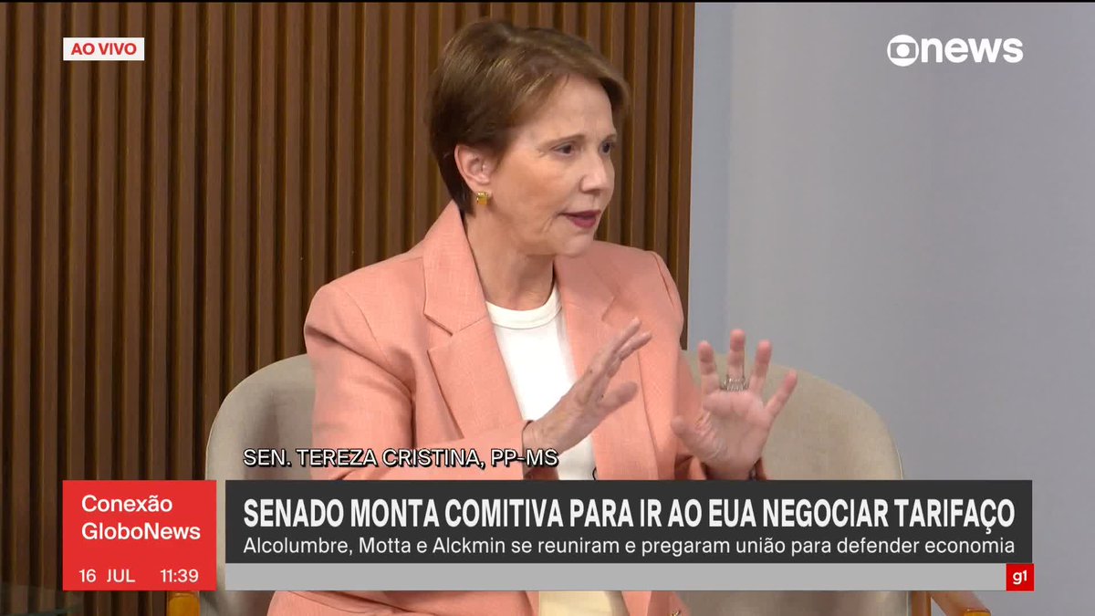 Tereza Cristina diz que os EUA “dobraram a aposta” ao anunciar investigação comercial: “O Brasil precisa e deve ir aos EUA, um negociador de peso. Acho até que o presidente Lula, dada a gravidade da situação.” Perdeu a chance de ficar calada.
