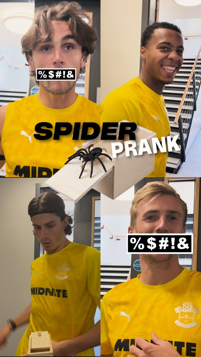 Beware the box 👀🕷️