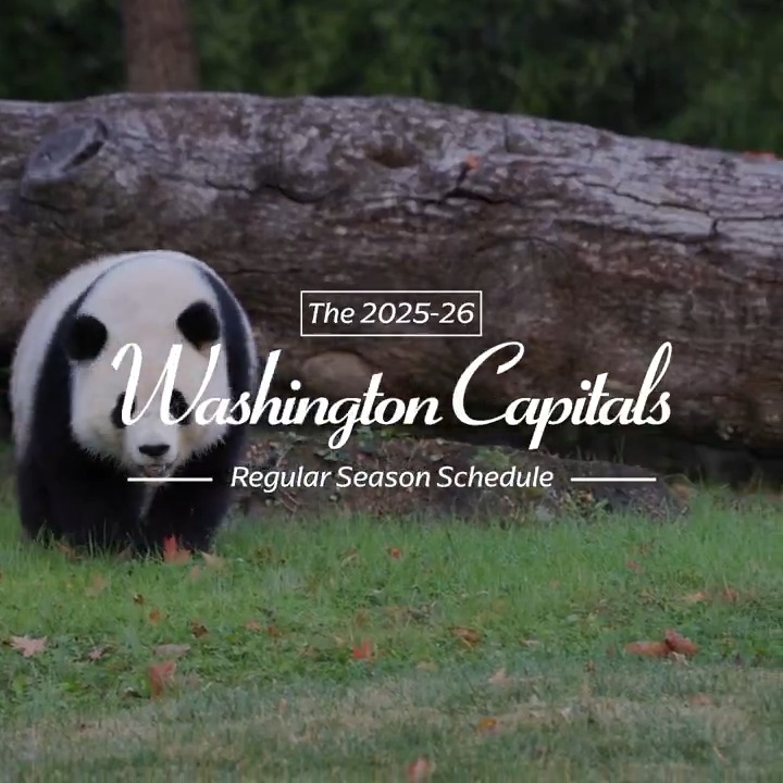 Scheduling's a bear... Thankfully we have our friends at the National Zoo to help us out #ALLCAPS