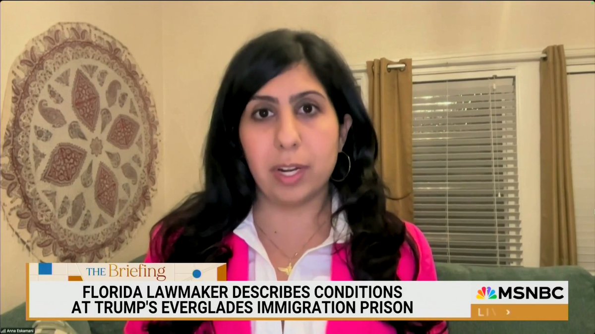 Dem Rep. Anna Eskamani says detaining illegal migrants is “political theater”