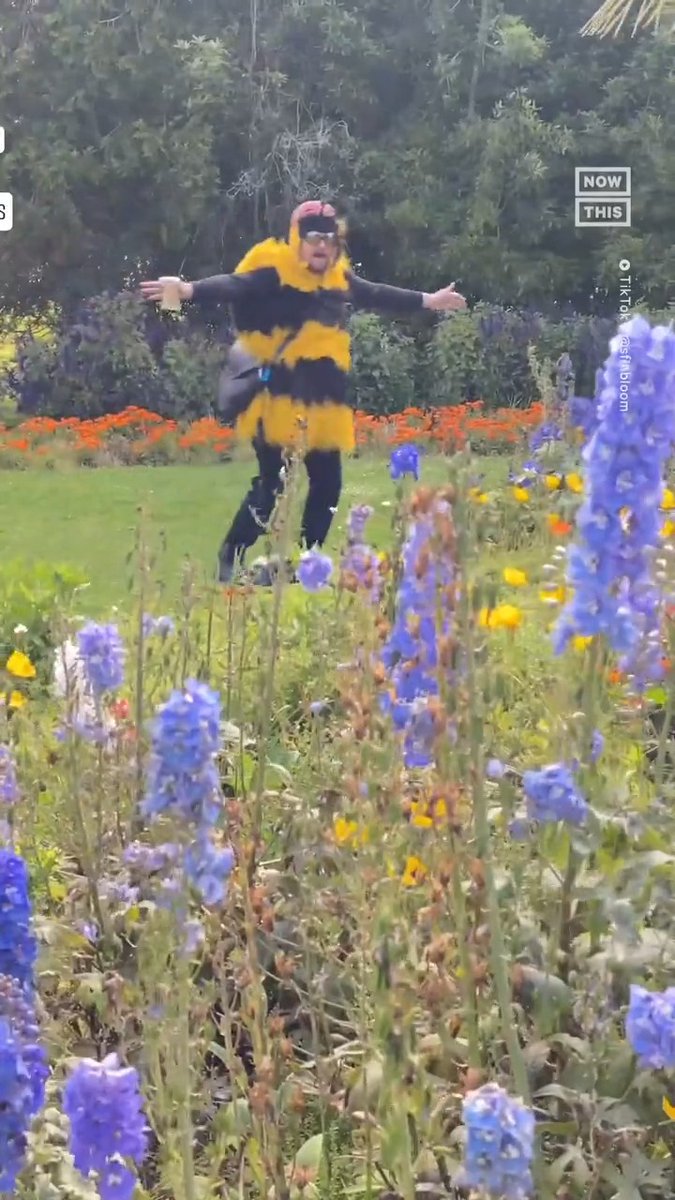 The Figen This couple is 'flower-bombing' the streets of San Francisco to help attract pollinator populations. Here's how it's making a difference for wildlife.
