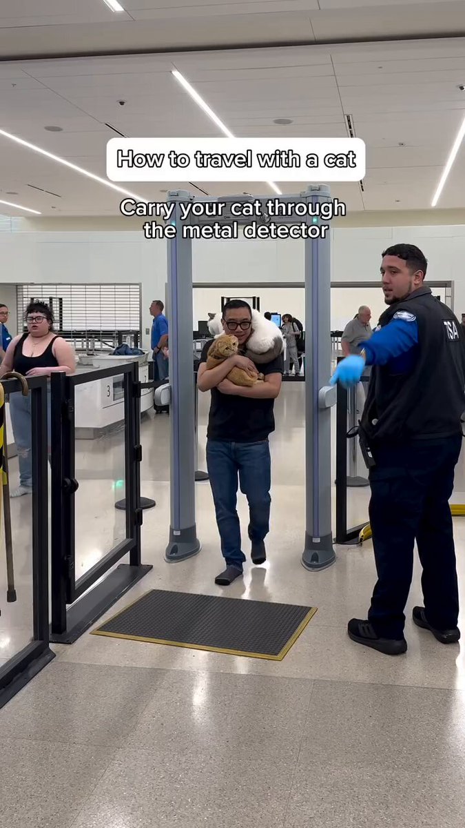Traveling with a cat? It all starts with a safe,comfortable carrier.