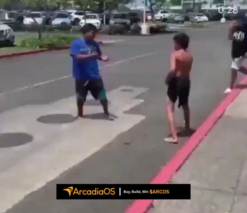 Skinny kid tries to pick on fat student and finds out Arcadia OS