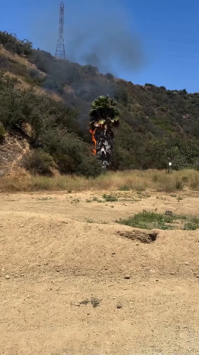 NEW: Former college football player chases down a homeless man after he allegedly a fire in Los Angeles. The incident comes after more than 12,000 structures were destroyed in the LA fires earlier this year. Former University of Kentucky wide receiver Scott Mitchell and his girlfriend were hiking when they noticed the man walking away from a burning tree. Mitchell then jumped into action and chased the man down who was 150 yards down the trail. “Even without digging, I was able to chase that guy down. I didn't know I still had it, I'm not going to lie,” he said. Andrew Wistic O’Calliham, a 43-year-old homeless man, was later arrested. He has since been arraigned on suspicion of felony arson. Thanks to 53 firefighters on the ground, the flames were “fully extinguished” before things got out of hand.