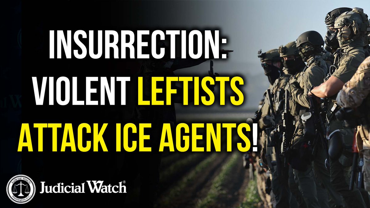 INSURRECTION: Violent Leftists Attack ICE Agents!