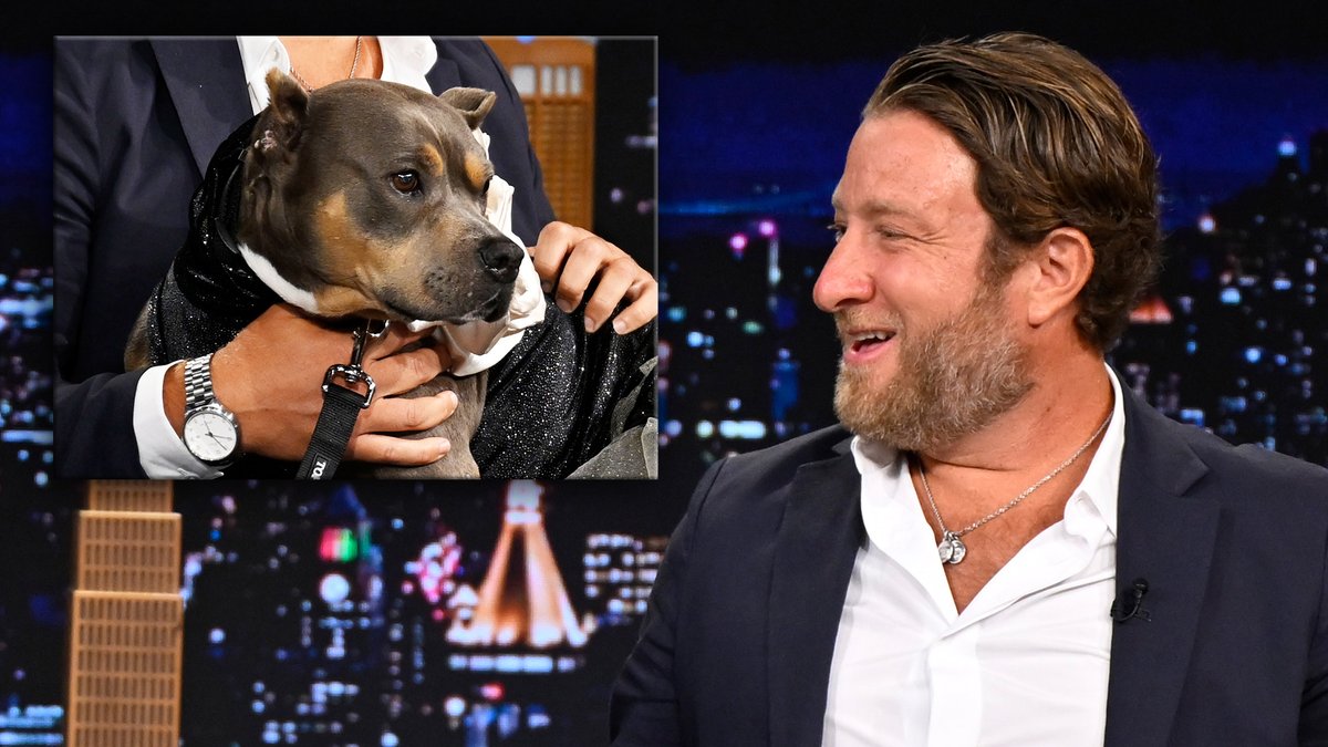 Miss Peaches and Pete the beagle join Dave Portnoy on the couch 🥹 #FallonTonight