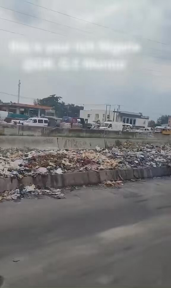“Borla nkoaaa” —Ghanaian woman visiting Lagos expresses shock, after seeing refuse dumped along both sides of major streets.