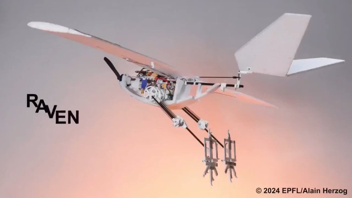 EPFL researchers have built a drone that can walk, hop, and jump into flight with the aid of birdlike legs, greatly expanding the range of potential environments accessible to unmanned aerial vehicles. RAVEN (Robotic Avian-inspired Vehicle for multiple ENvironments), designed based on perching birds like ravens and crows that frequently switch between air and land, the multifunctional robotic legs allow it to take off autonomously in environments previously inaccessible to winged drones. Image/video credits: EPFL / Ulrich M. / Akshet Patel #drones #robotics #technology #engineering #stem #innovation -------------------------------- Stay ahead of the curve! Follow us now on our WhatsApp ( and Telegram ( channels and stay updated about the cutting edge.