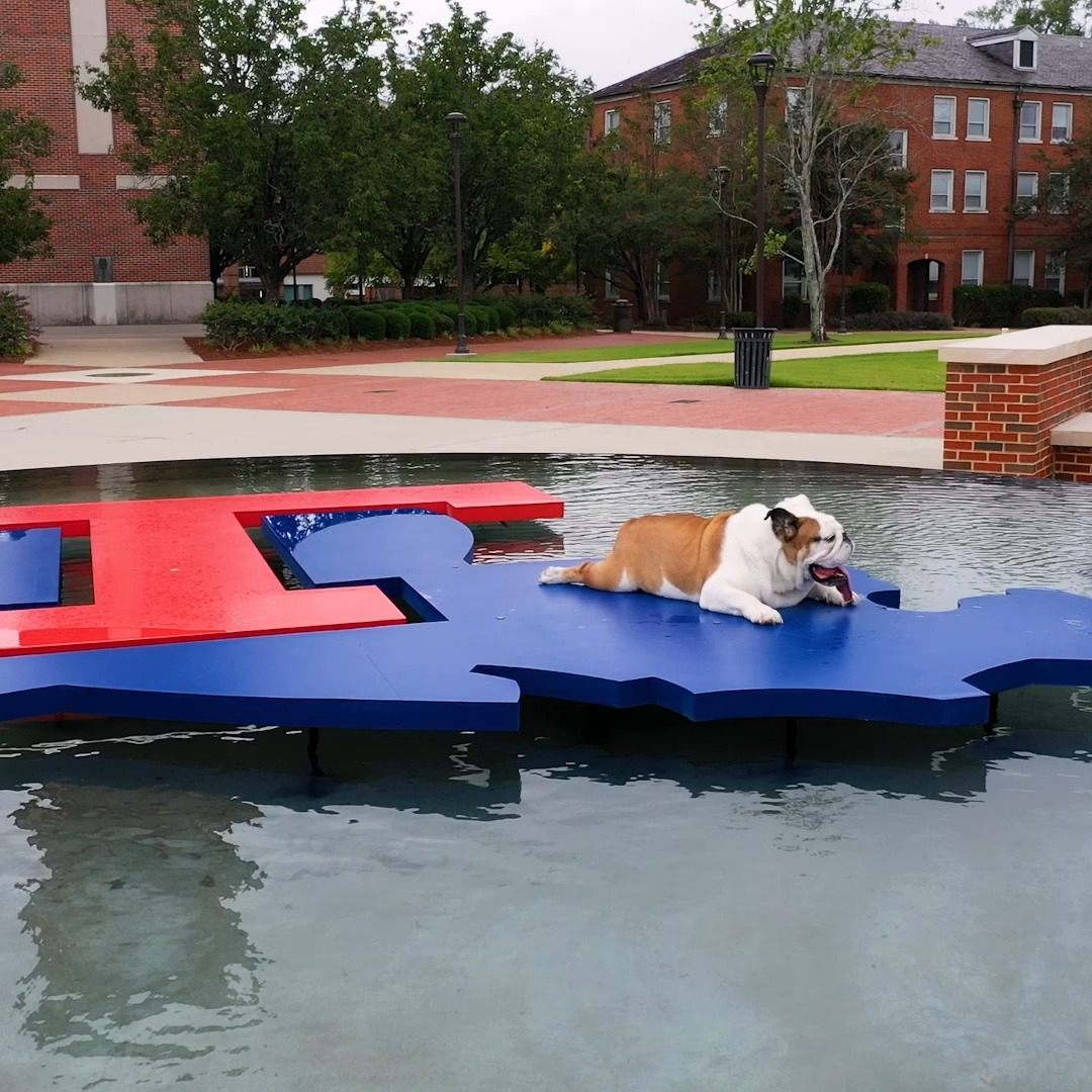 𝗠𝗢𝗠𝗘𝗡𝗧 𝗜𝗡 𝗧𝗛𝗘 𝗦𝗨𝗡. LA Tech Sports renews rivalries with return to Sun Belt Conference. ☀️