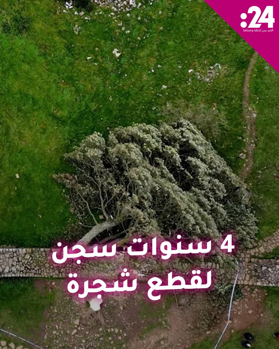 محكمة بريطانية تسجن رجلين 4 سنوات بعد قطع شجرة.. ما السبب؟ لمشاهدة المزيد من الفيديوهات: