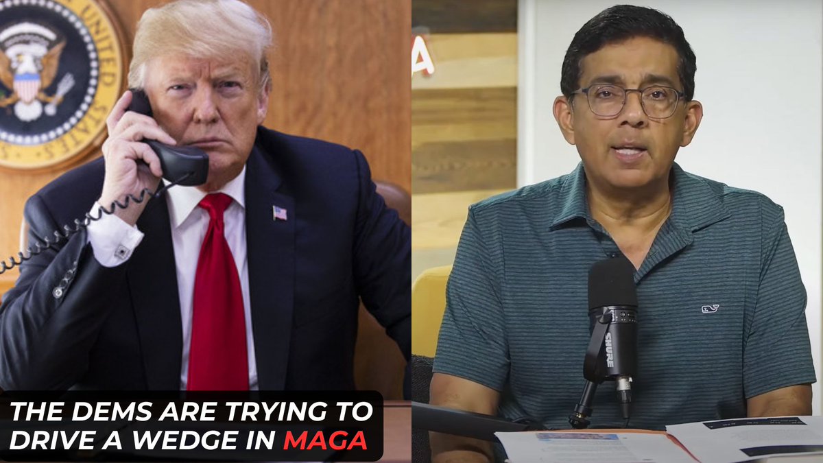 The Dems are trying to use the Epstein Files to stop Trump. Let’s not be dumb enough to help them.