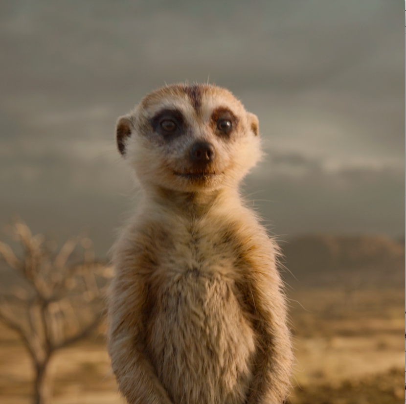 ‘THE LION KING’ released 6 years ago today.