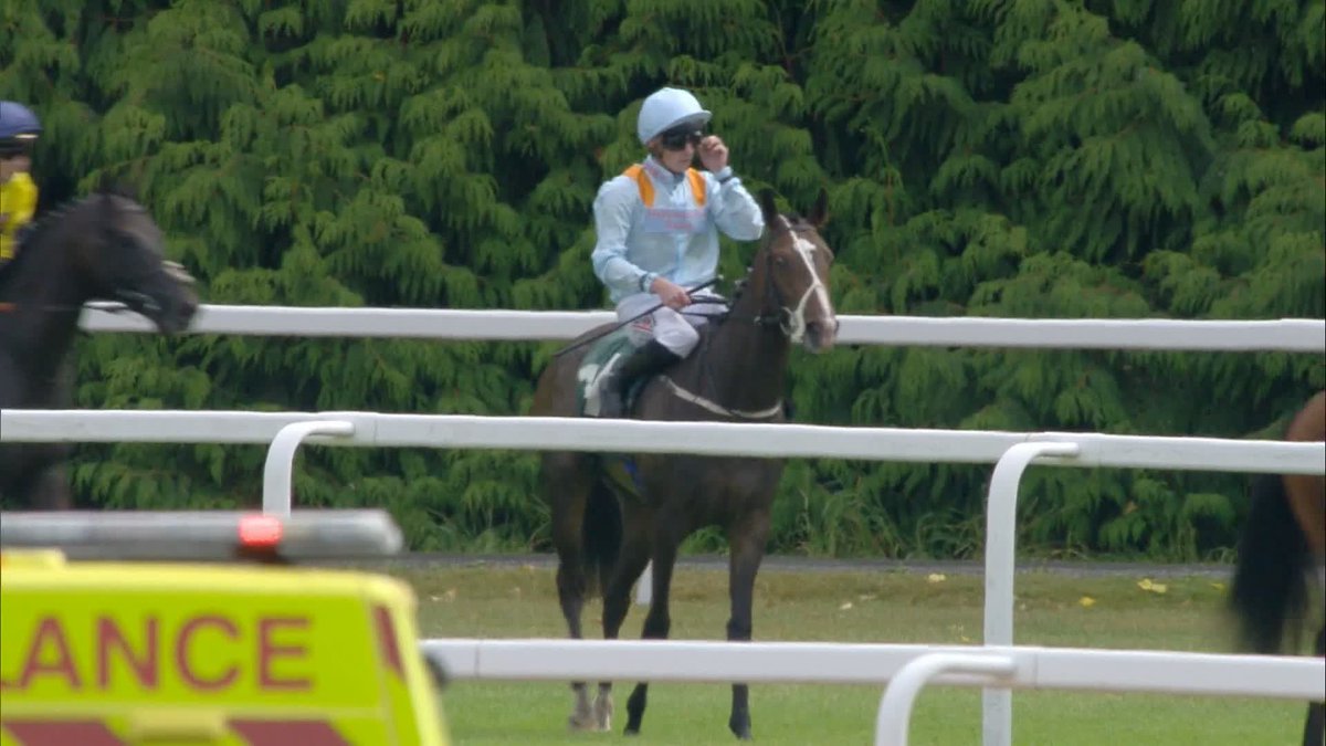 ‼️ PUNTERS ARE IN PAIN! AT NEWBURY!! SHOULD HAVANA HURRICANE HAVE WON THE SUPER SPRINT IN YOUR OPINION? 👇