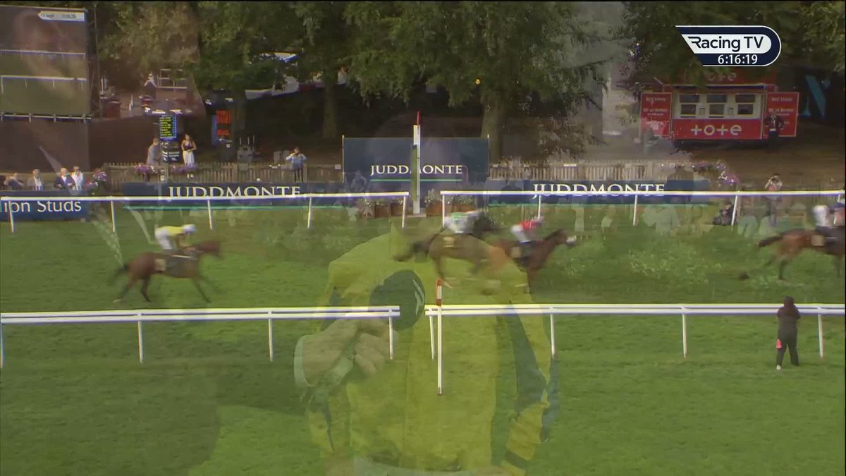 🎶 Billy, Billy give us a wave!" 🎶 Beautiful chaos Newmarket Racecourse after Billy Loughnane smashes it with a hat-trick 👋