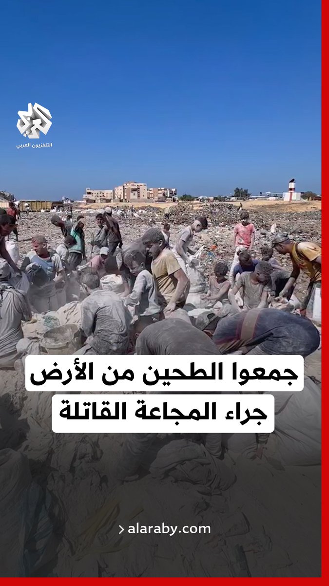 غزاويون يجمعون الطحين من فوق الرمال عقب سقوطه من شاحنة مساعدات، وسط مجاعة تفتك بأهالي القطاع