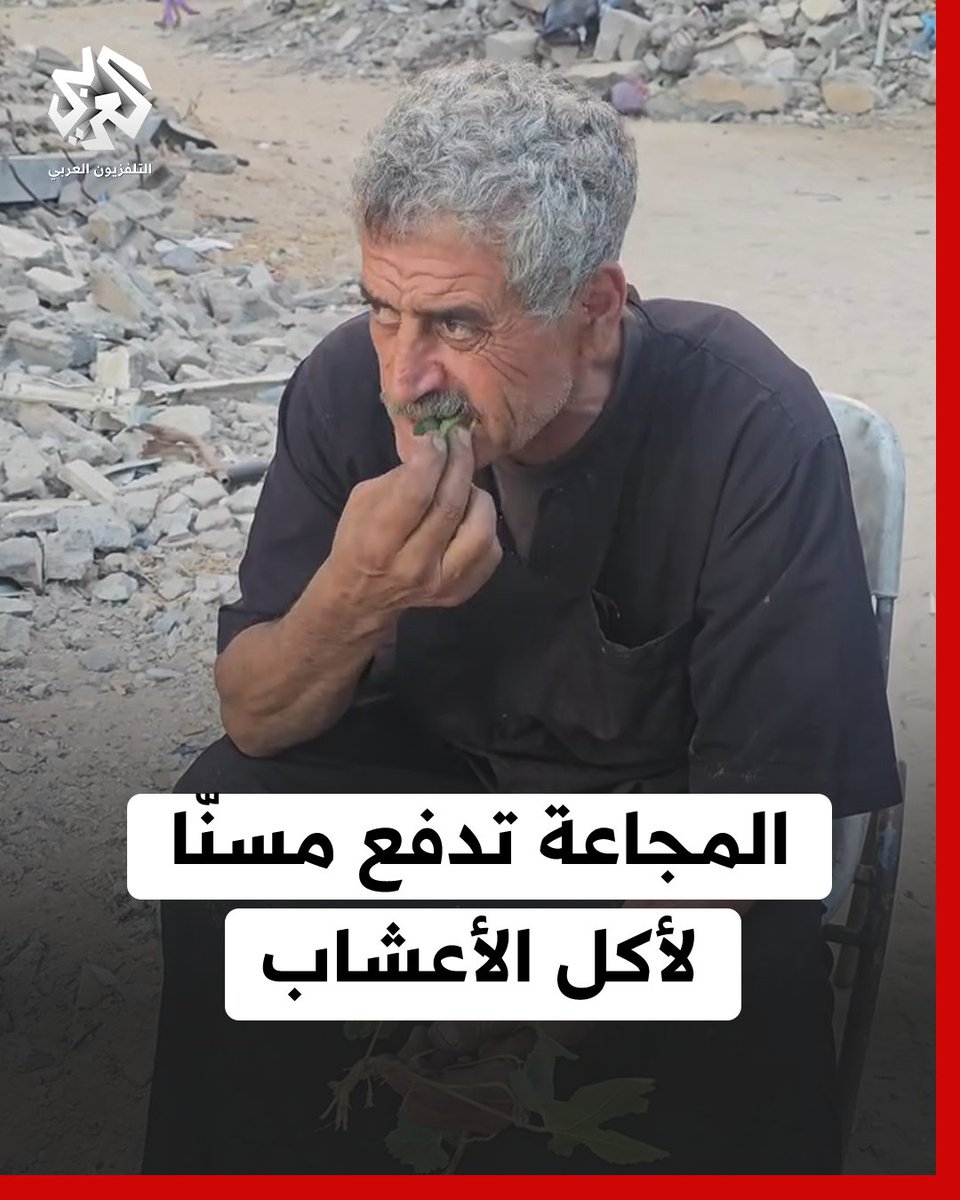 مسنّ فلسطيني يأكل الأعشاب في ظلّ تفاقم المجاعة واستمرار الحصار وإغلاق المعابر #غزة