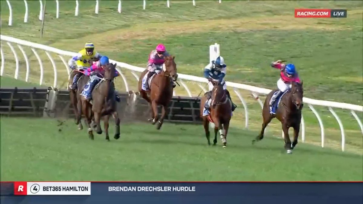 Hamilton Race 4 | Highland Blaze "Highland Blaze outstays them!" 🗣️ Jordan Hart salutes the crowd aboard Shane Jackson's star hurdler, winning the Brendan Drechsler Hurdle in dramatic style 🙌 📺 Ch. 78/68, Foxtel 529, Kayo or via our app REPLAYS:
