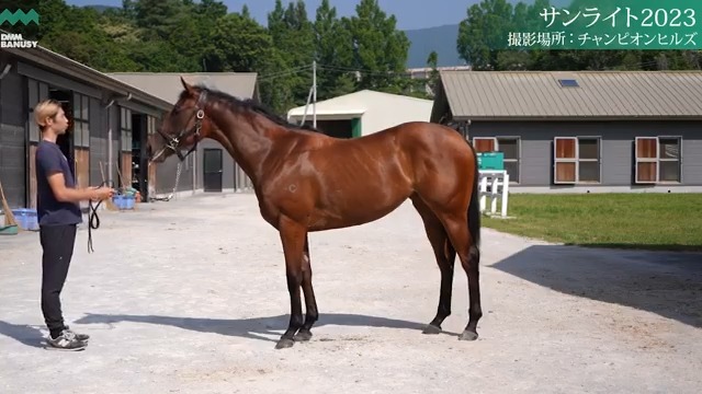 The highest-priced Magic Millions yearling of all time, the $3.2 million Home Affairs x Sunlight filly, has been given her name by 【公式】DMM BANUSY(DMM バヌーシー). She has been named Lia La La, related to the Hawaiian for sun ☀️ She already weighs over 480kg! Magic Millions