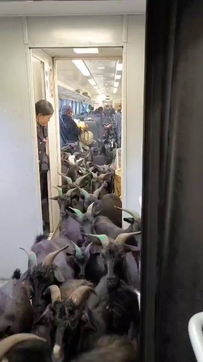 ⬅️Train in India used by Indians. ➡️Train in China used by farm animals.