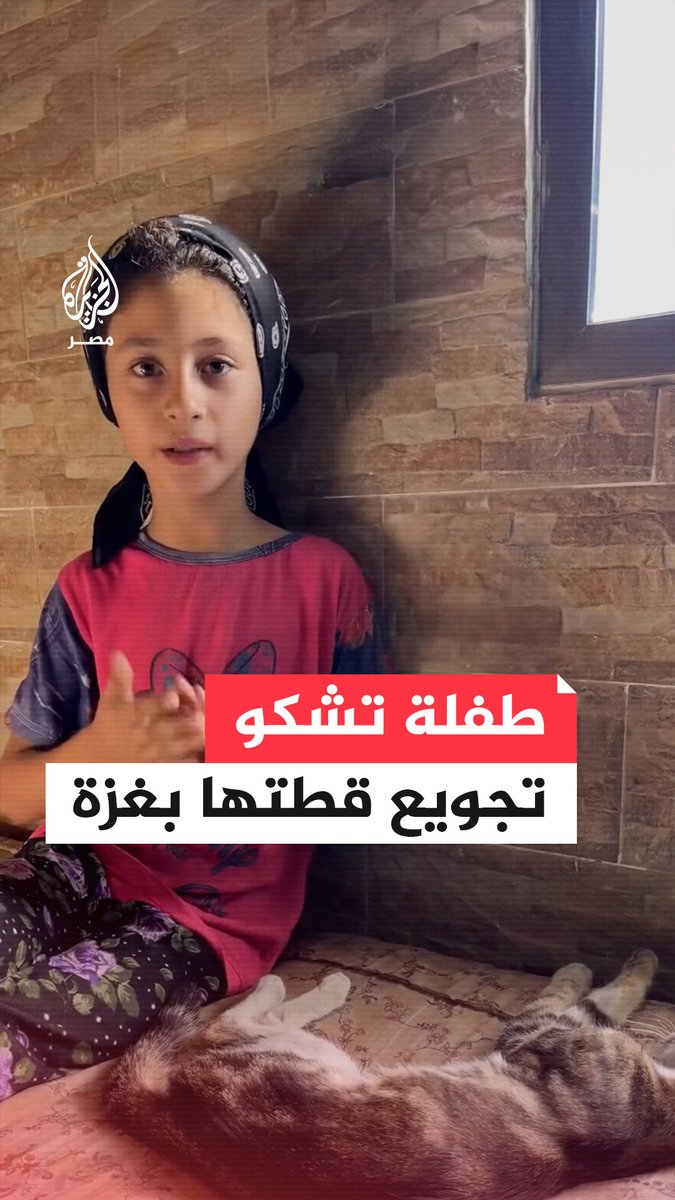 "لم تدخل معدتنا لقمة منذ الأمس".. طفلة غزية تتحدث عن معاناتها وقطتها من الجوع في ظل الحصار الإسرائيلي المطبق على القطاع