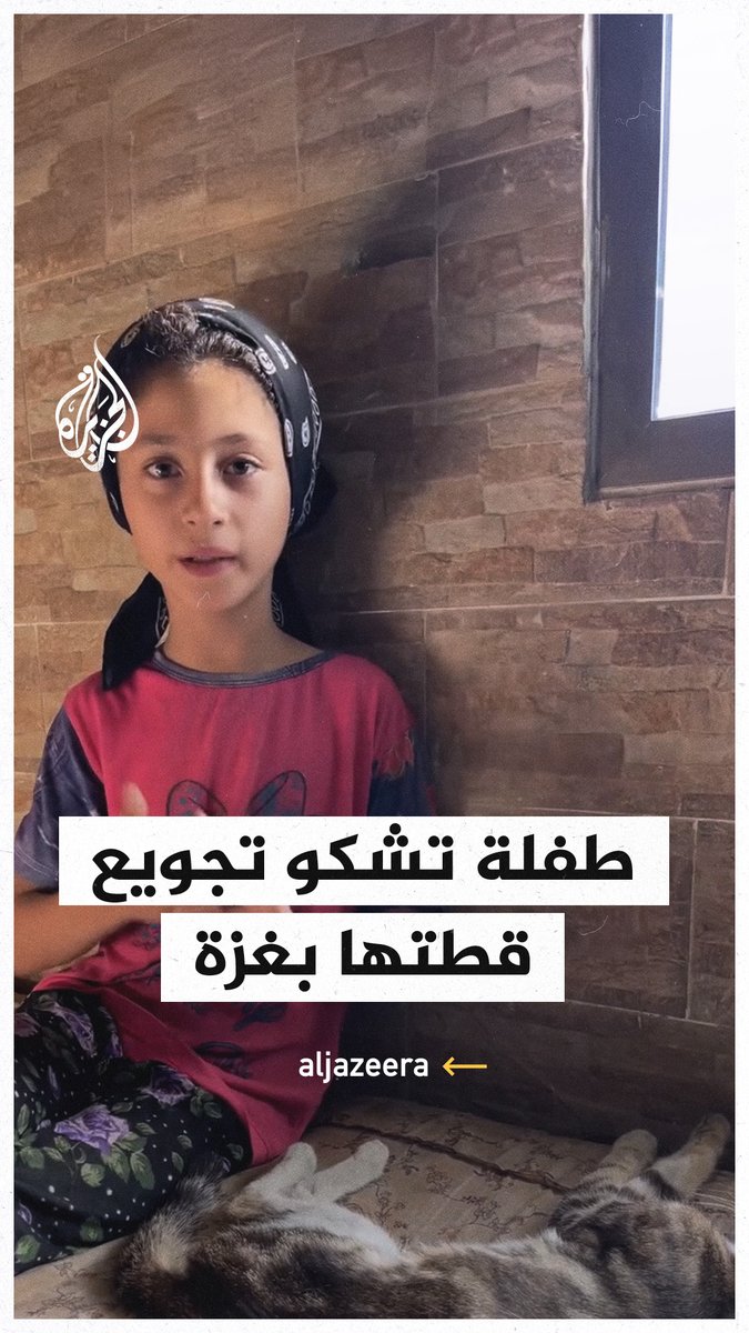 "مفيش إلنا أكل ولا للحيوانات".. طفلة تشكو معاناة قطتها من الجوع في #غزة #حرب_غزة #فيديو