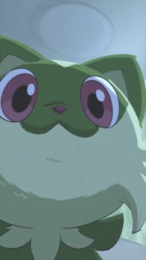 wakes you up like this