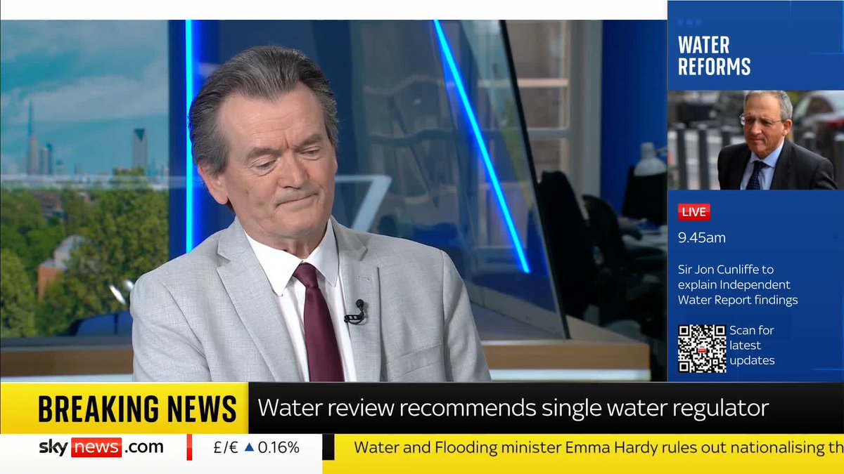 'At the heart of it is the greed, the corruption...the continuing, brutal abuse of billpayers and the environment,' Feargal Sharkey tells Sky News. A review of the water sector has advised the system for regulating water companies should be overhauled.