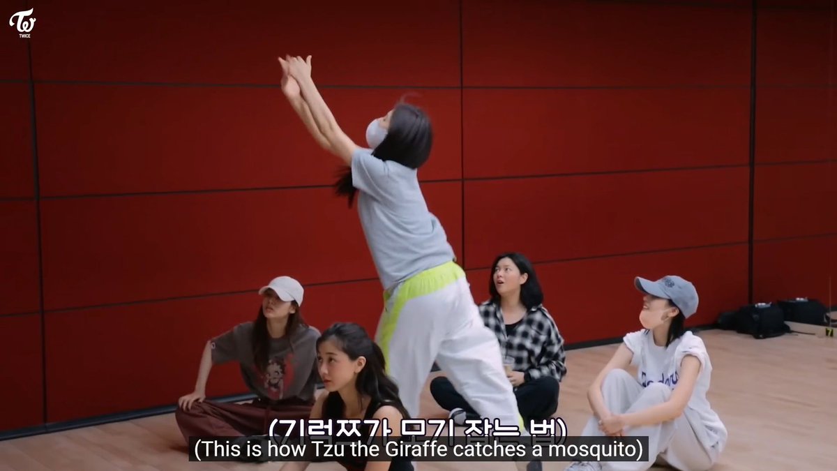 Tzuyu being the funniest person to ever exist to her unnies part 1020: catching a mosquito