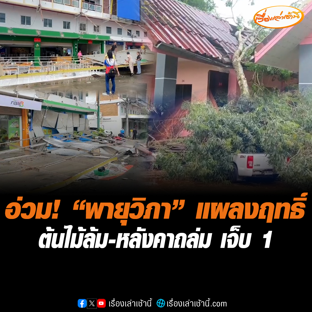 จันทบุรีอ่วม! "พายุวิภา" แผลงฤทธิ์ พัดต้นไม้ล้ม-หลังคาถล่ม บริเวณตลาดศิริการ อ.เมือง จ.จันทบุรี ส่งผลให้มีผู้บาดเจ็บ 1 ราย นำตัวส่งโรงพยาบาลแล้ว #เรื่องเล่าเช้านี้ #ข่าวช่อง3 #ข่าวภูมิภาค #จันทบุรี #พายุวิภา