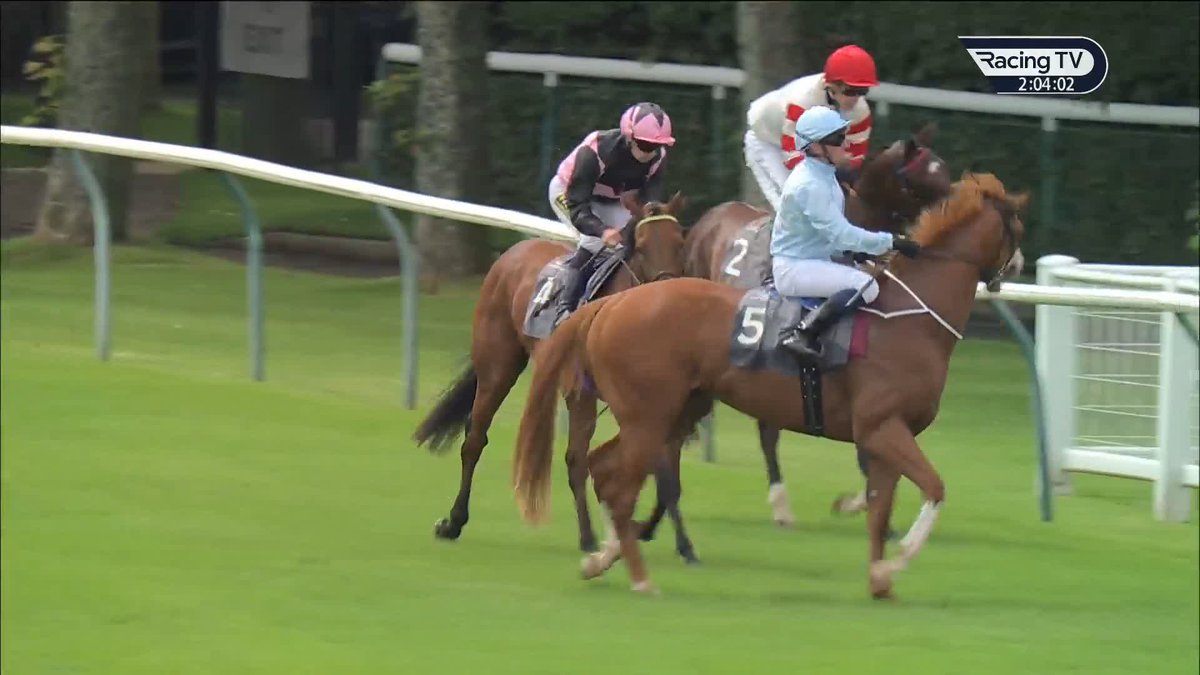 👀 2/13 favourite Thesecretadversary beaten at Ayr Racecourse by Keatley Racing 100,000gns buy Rochfortbridge on debut
