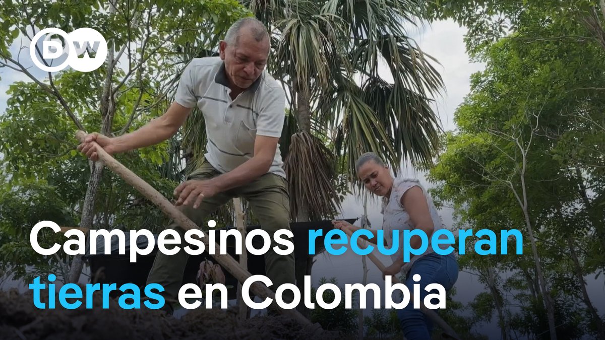 El Gobierno de Gustavo Petro promete impulsar la reforma agraria. Más de 7 millones de personas han sido víctimas del desplazamiento forzado como consecuencia del conflicto armado en #Colombia. Algunos campesinos recuperan ahora la ilusión de volver a vivir de campo. / ajr