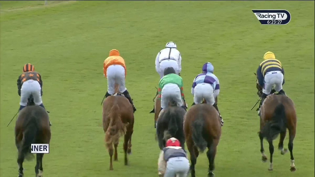 A smart debut from Temple Of Athena in the Racing TV EBF Restricted Maiden Stakes 🏆