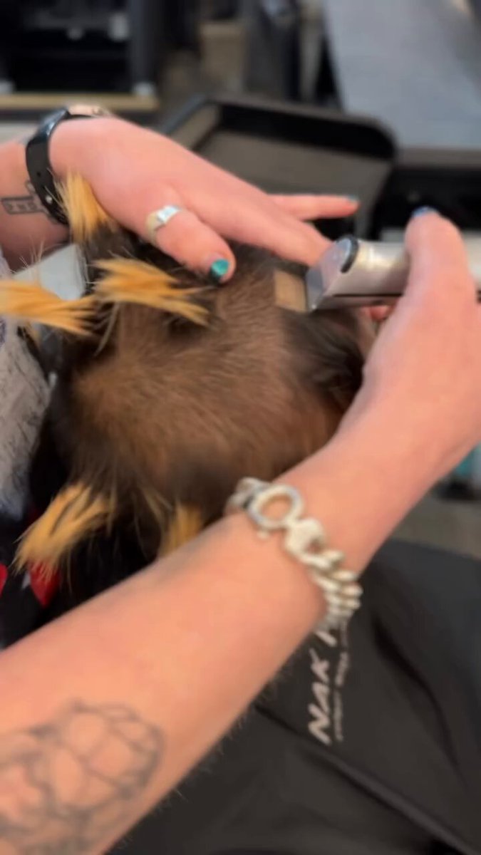 What do you call this haircut?