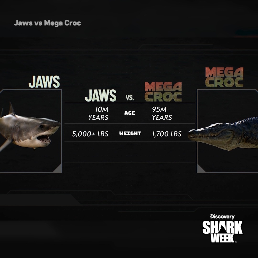 Two of the biggest and baddest apex predators in the water — the great white shark and Nile crocodile — are going head-to-head on Jaws vs Mega Croc, TONIGHT at 9p during #SharkWeek on Discovery! 👀 Tristan Guttridge